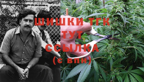 прущие крисы Алзамай