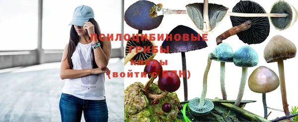 эйфоретик Красноперекопск