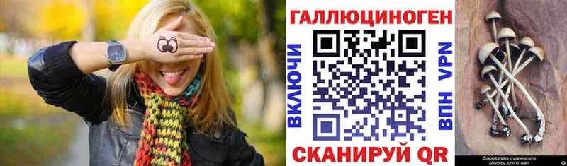 Псилоцибиновые грибы Magic Shrooms  blacksprut зеркало  Бодайбо  хочу  